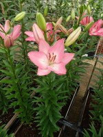 [5060 Albufeira No01.JPG]